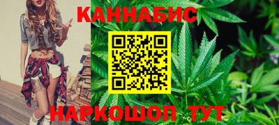 сатива Краснознаменск