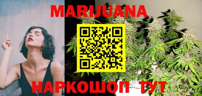 сатива Краснознаменск